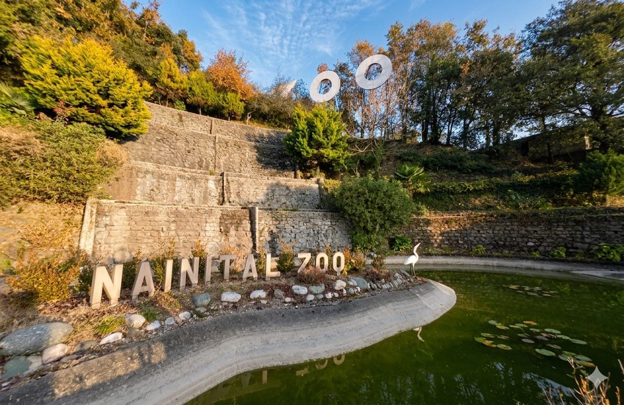 Nainital Zoo